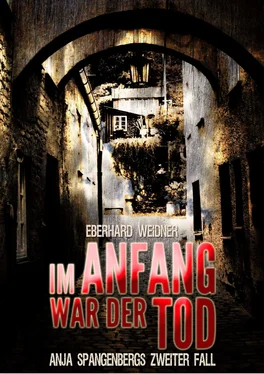 Eberhard Weidner IM ANFANG WAR DER TOD обложка книги