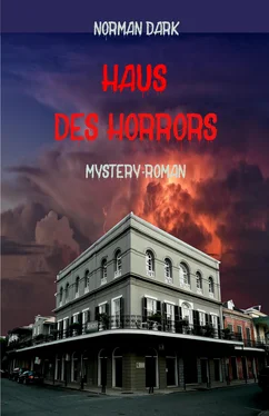 Norman Dark Haus des Horrors обложка книги