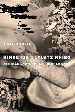 Sigrid Immler Kinderspielplatz Krieg обложка книги