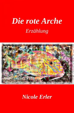 Nicole Erler Die rote Arche обложка книги