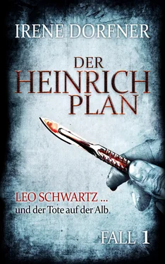 Irene Dorfner Der Heinrich-Plan обложка книги