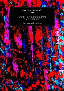 Marius Rehwalt Der expressive Extremist обложка книги