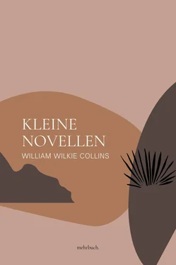 William Wilkie Collins Kleine Novellen обложка книги