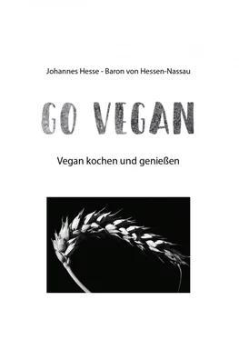Johannes Hesse Vegan-Kochbuch обложка книги
