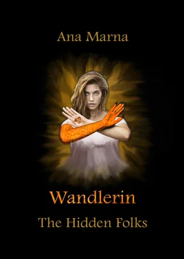 Ana Marna Wandlerin обложка книги