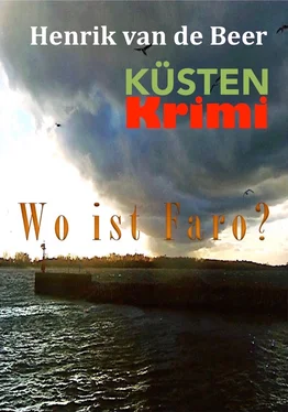 Karl-Heinz Biermann Wo ist Faro? обложка книги