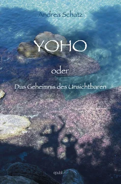 Andrea Schatz YOHO oder das Geheimnis des Unsichtbaren обложка книги