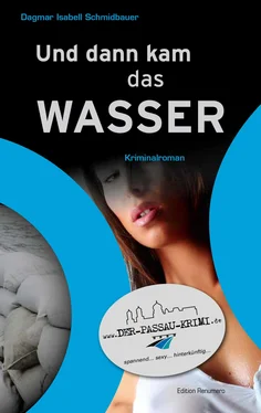 Dagmar Isabell Schmidbauer Und dann kam das Wasser обложка книги