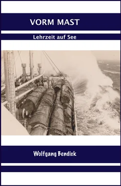 Wolfgang Bendick Vorm Mast обложка книги