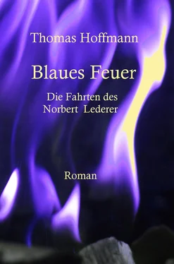 Thomas Hoffmann Blaues Feuer обложка книги