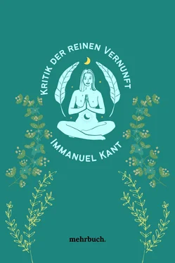 Immanuel Kant Kritik der reinen Vernunft обложка книги