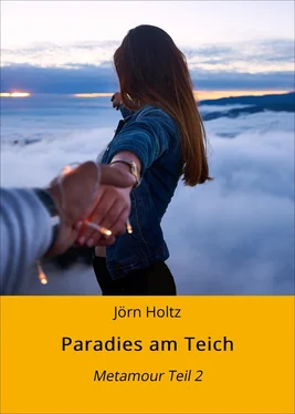 Jörn Holtz Paradies am Teich обложка книги