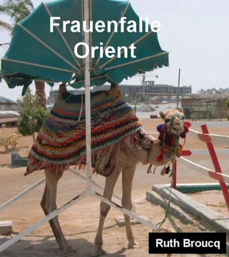 Ruth Broucq Frauenfalle Orient обложка книги