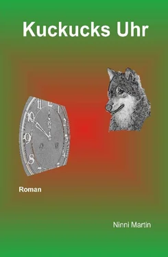 Ninni Martin Kuckucks Uhr обложка книги