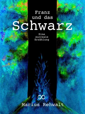 Marius Rehwalt Franz und das Schwarz обложка книги