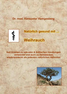 Dr. Hanspeter Hemgesberg Natürlich gesund mit Weihrauch обложка книги