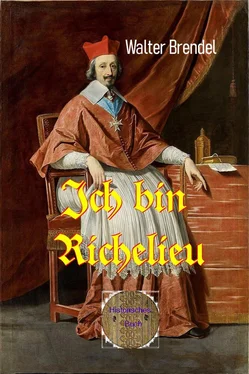 Walter Brendel Ich bin Richelieu обложка книги