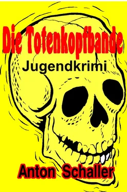 Anton Schaller Die Totenkopfbande обложка книги