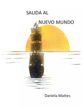 Daniela Mattes Salida al Nuevo Mundo обложка книги