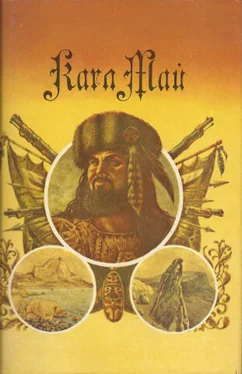 Карл Май Том 6. Сокровище Серебряного озера обложка книги