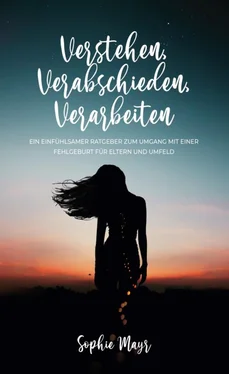 Sophie Mayr Verstehen, Verabschieden, Verarbeiten обложка книги