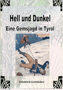 Friedrich Gerstäcker Hell und Dunkel. Eine Gemsjagd in Tyrol. обложка книги