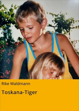 Rike Waldmann Toskana-Tiger обложка книги