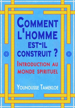 Younousse Tamekloe Comment l'homme est-il construit ? обложка книги