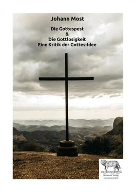 Johann Most Die Gottespest & Die Gottlosigkeit Eine Kritik der Gottesidee обложка книги