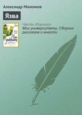 Александр Маленков Язва обложка книги