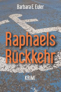 Barbara E. Euler Raphaels Rückkehr обложка книги