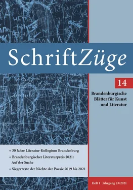 Thomas Frick SchriftZüge 14 eBook обложка книги