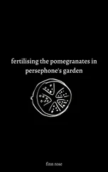 Finn Rose - fertilising the pomegranates in persephone's garden