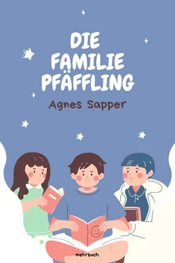 Agnes Sapper Die Familie Pfäffling обложка книги