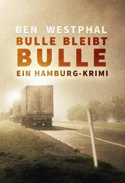 Ben Westphal Bulle bleibt Bulle - Ein Hamburg-Krimi обложка книги