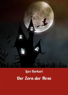 Lars Burkart Der Zorn der Hexe обложка книги