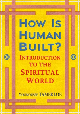 Younousse Tamekloe How Is Human Built? обложка книги