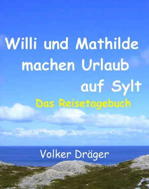 Volker Dräger Willi und Mathilde machen Urlaub auf Sylt обложка книги