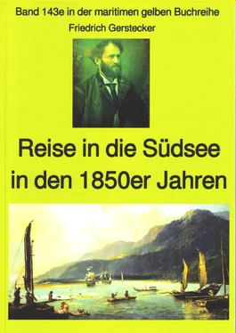 Friedrich Gerstecker Friedrich Gerstecker: Reise in die Südsee обложка книги