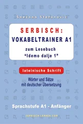 Snezana Stefanovic - Serbisch - Vokabeltrainer A1 zum Buch Idemo dalje 1 - lateinische Schrift