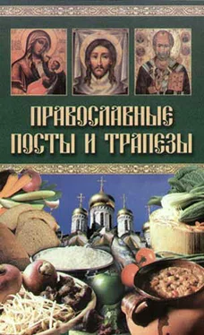 Катерина Берсеньева Православные посты и трапезы обложка книги