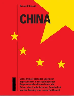 Renate Dr. Dillmann China – ein Lehrstück обложка книги