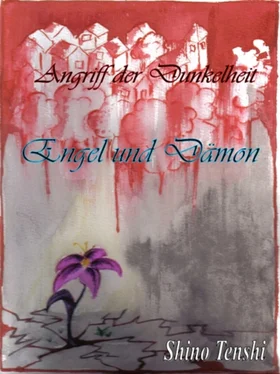 Shino Tenshi Engel und Dämon обложка книги