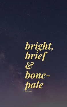 Finn Rose bright, brief & bone-pale обложка книги