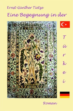 Ernst-Günther Tietze Eine Begegnung in der Türkei обложка книги