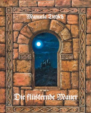Manuela Tietsch Die flüsternde Mauer обложка книги