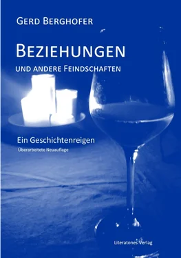 Gerd Berghofer Beziehungen und andere Feindschaften обложка книги