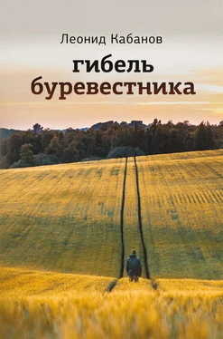 Леонид Кабанов Гибель буревестника обложка книги