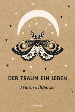 Franz Grillparzer Der Traum ein Leben обложка книги