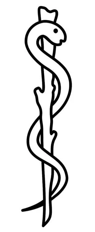 Fig 5 The Rod of Asclepios the Greek God of Healing and Medical Arts The - фото 6